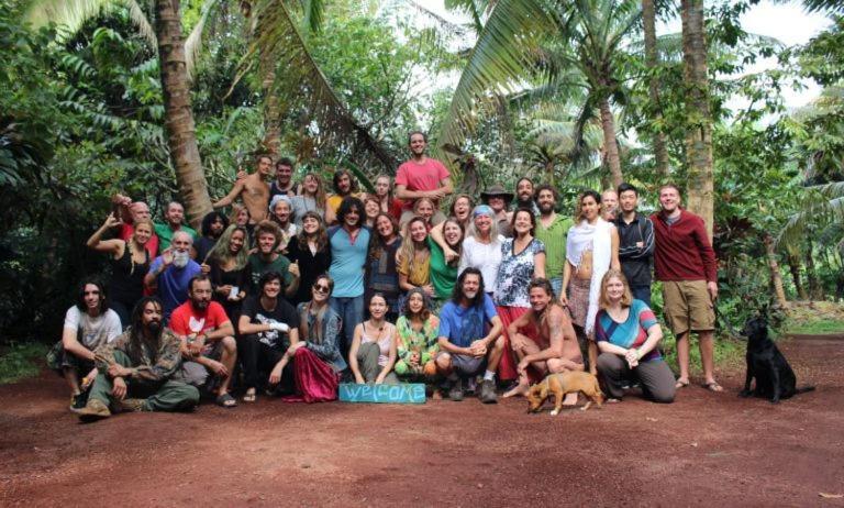 Pahoa Paradise Eco Village المظهر الخارجي الصورة