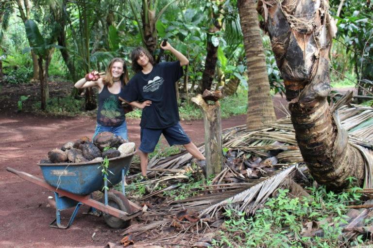 Pahoa Paradise Eco Village المظهر الخارجي الصورة