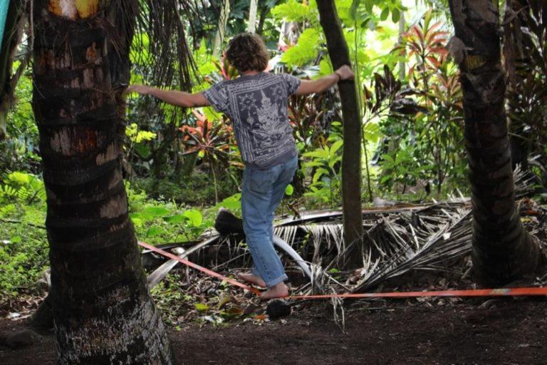Pahoa Paradise Eco Village المظهر الخارجي الصورة