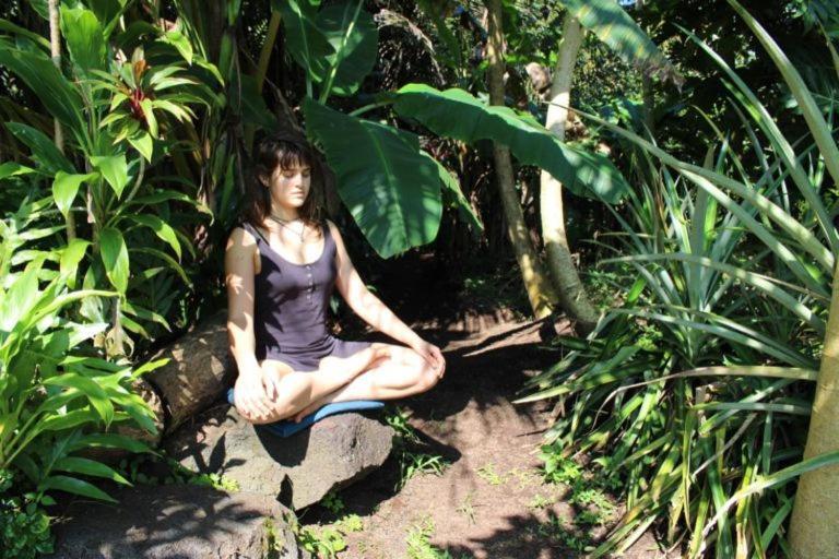 Pahoa Paradise Eco Village المظهر الخارجي الصورة