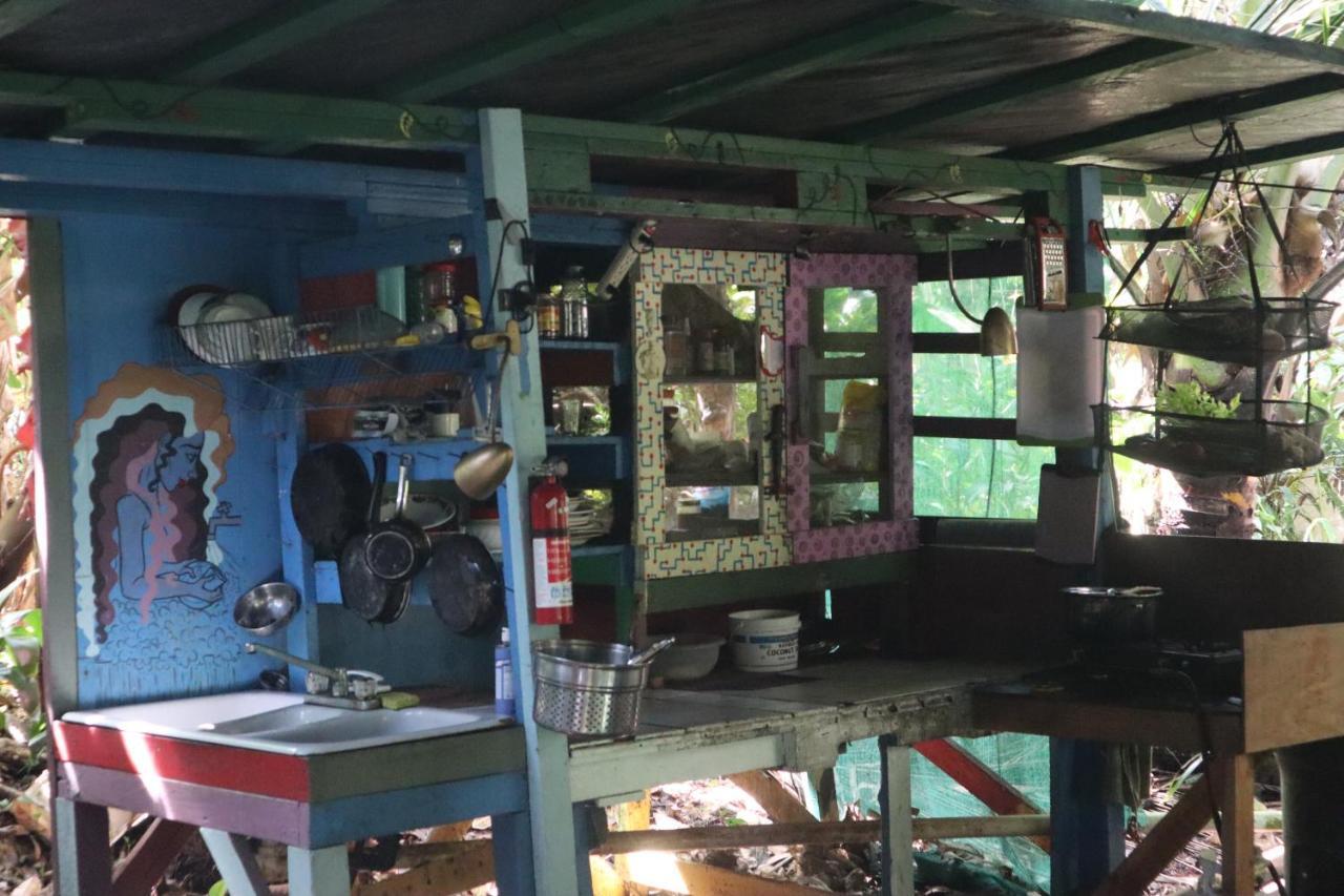 Pahoa Paradise Eco Village المظهر الخارجي الصورة