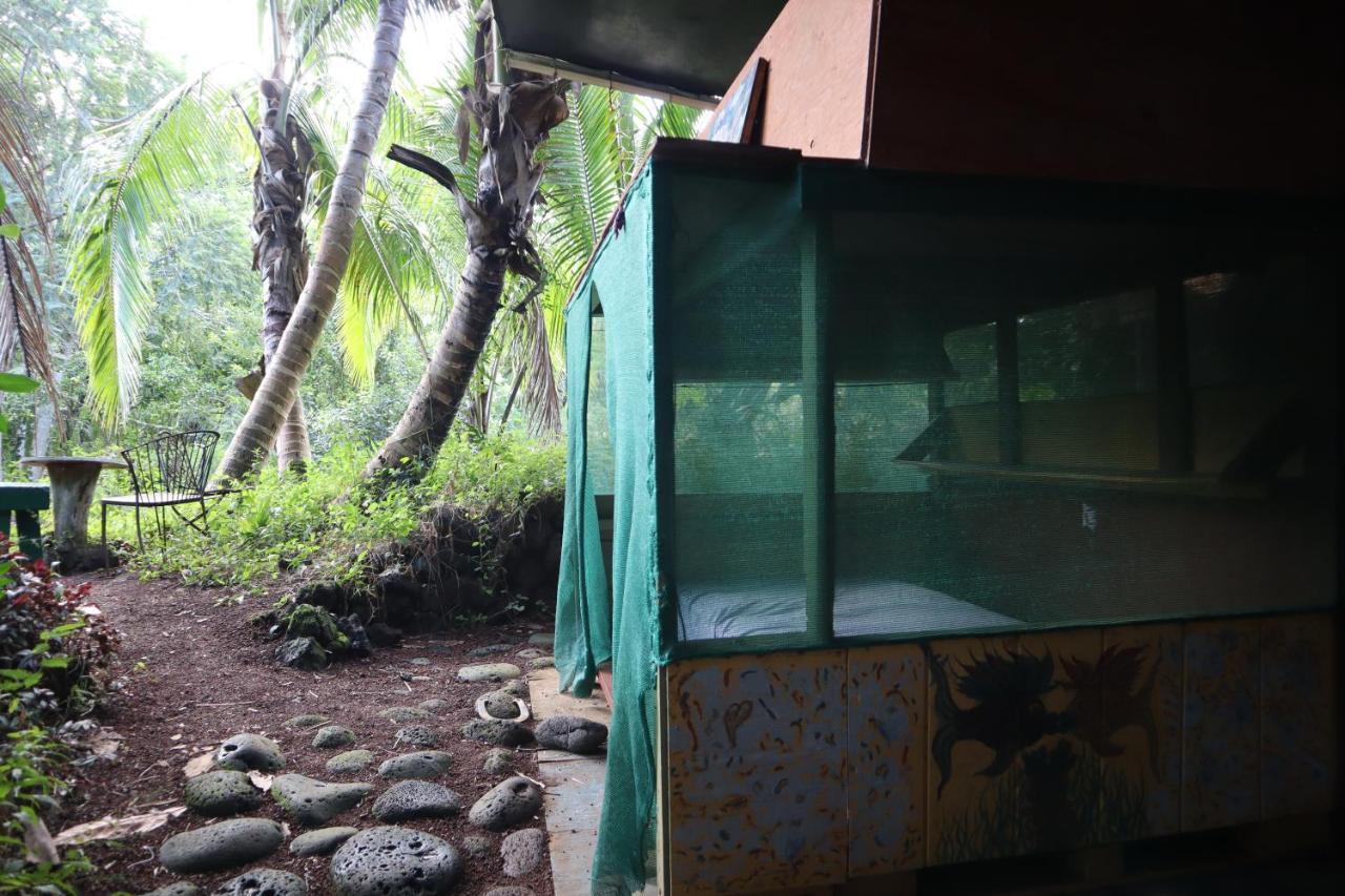 Pahoa Paradise Eco Village المظهر الخارجي الصورة