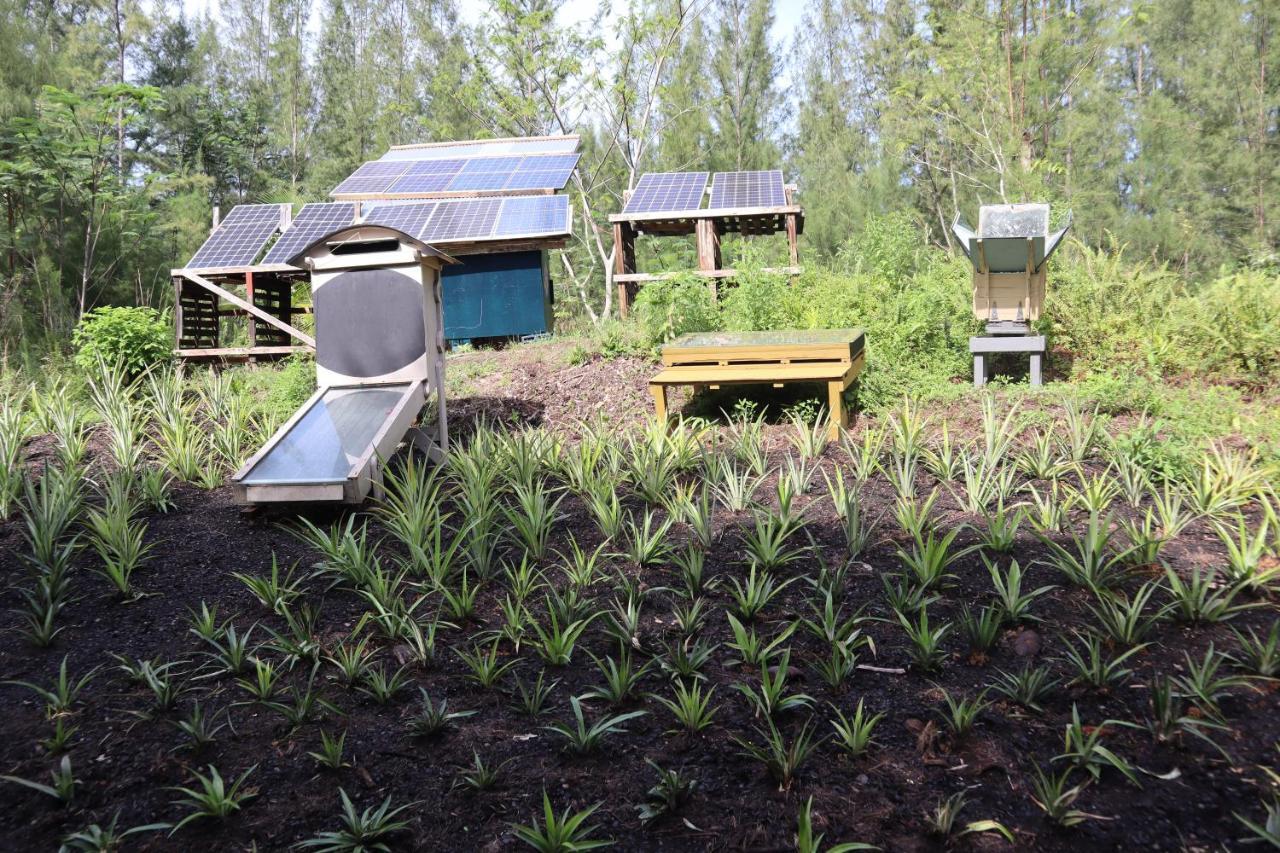 Pahoa Paradise Eco Village المظهر الخارجي الصورة