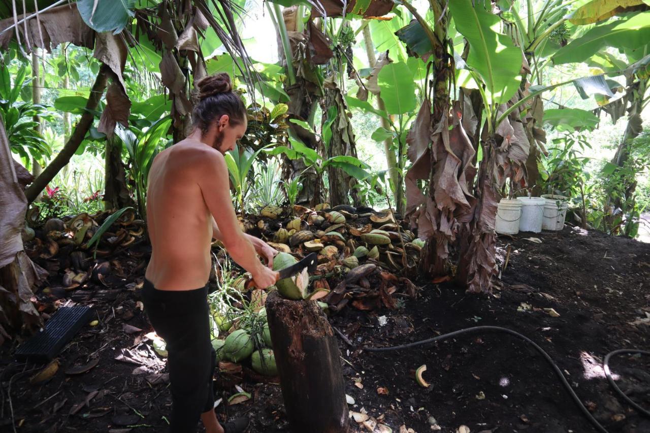 Pahoa Paradise Eco Village المظهر الخارجي الصورة