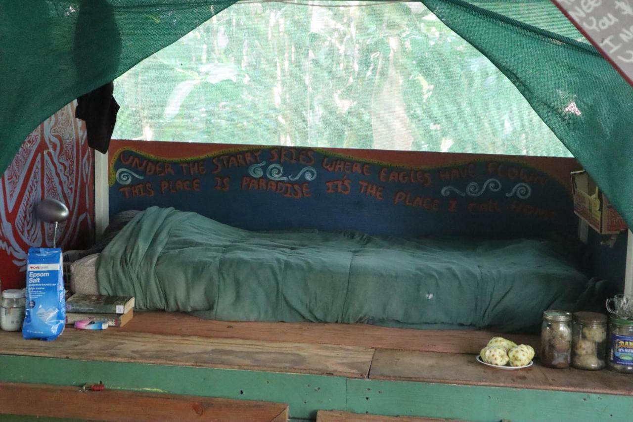 Pahoa Paradise Eco Village المظهر الخارجي الصورة