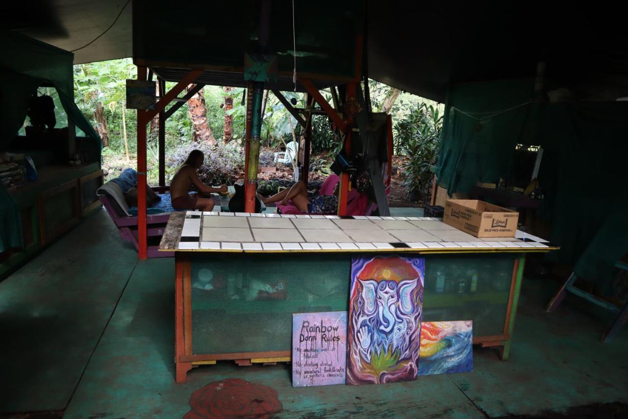 Pahoa Paradise Eco Village المظهر الخارجي الصورة